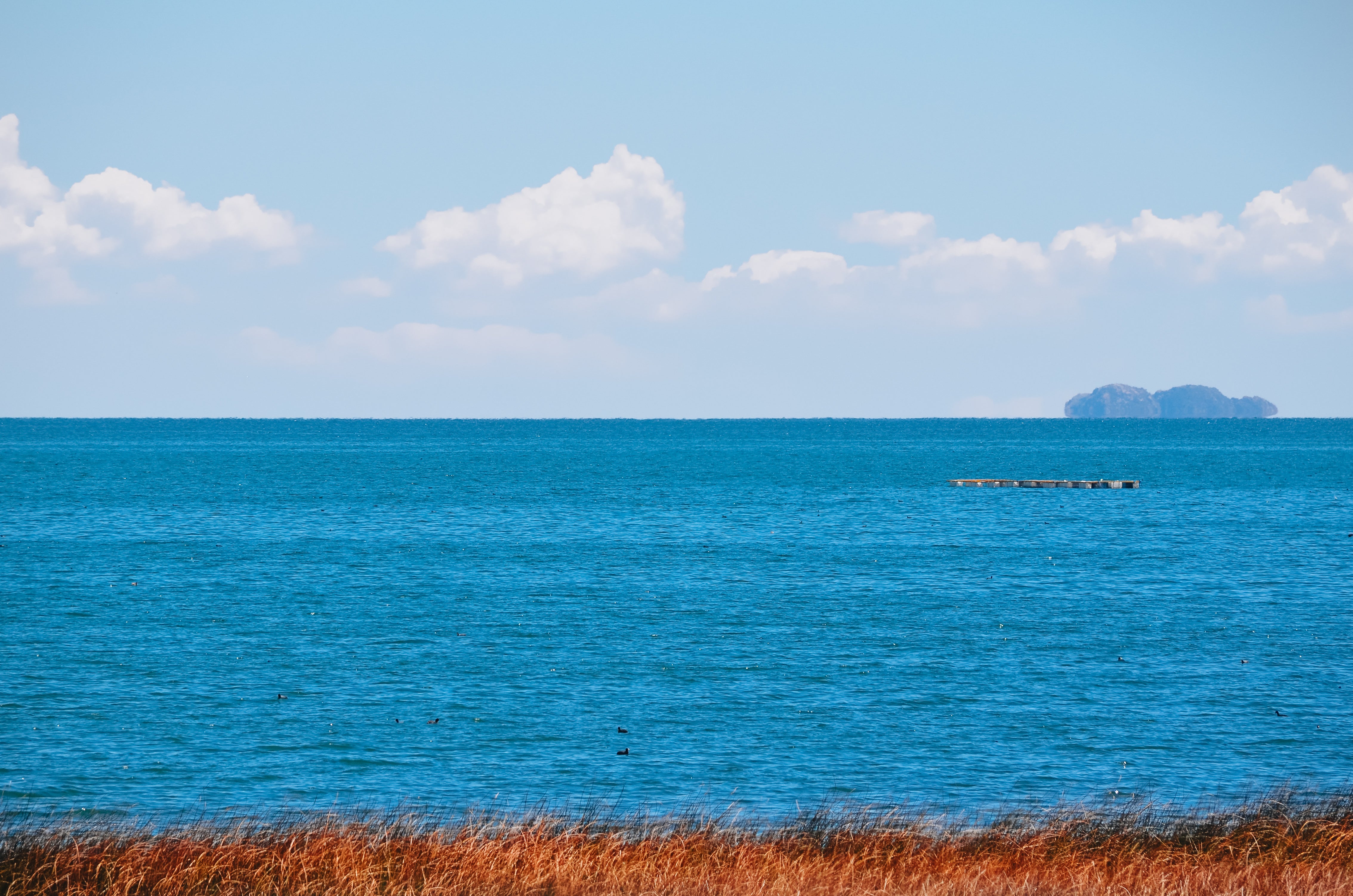 Paysage du lac Titicaca avec un champ doré sous un vaste ciel — un symbole d’origine, de pureté et d’harmonie entre nature et savoir-faire responsable.