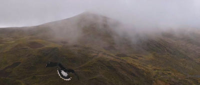 Vidéo d’un condor planant au-dessus des majestueuses montagnes des Andes, symbole de liberté, de force et de lien avec la nature.
Video eines Kondors, der über die majestätischen Anden gleitet – Symbol für Freiheit, Stärke und Verbundenheit mit der Natur
